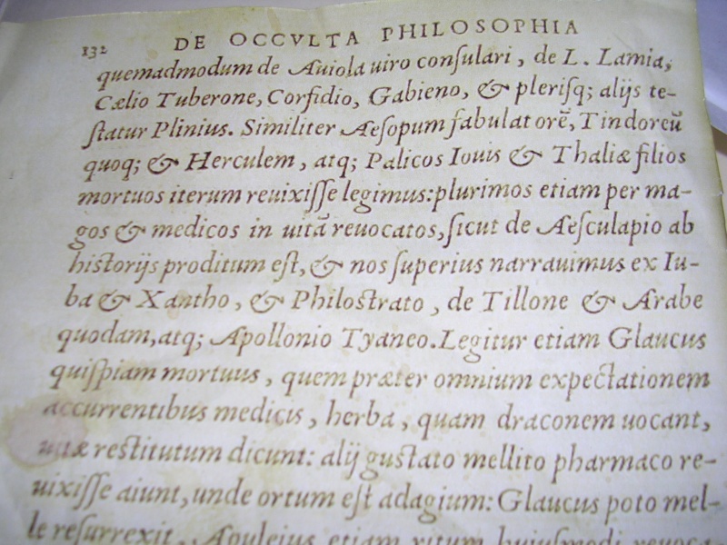 File:Occulta.JPG